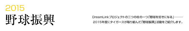 2015 野球振興 -DreamLinkプロジェクトの三つの柱の一つ「野球を好きになる」―――2015年度にタイガースが取り組んだ「野球振興」活動をご紹介します。-