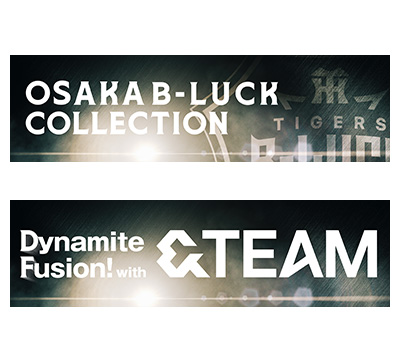 限定場内ビジョン