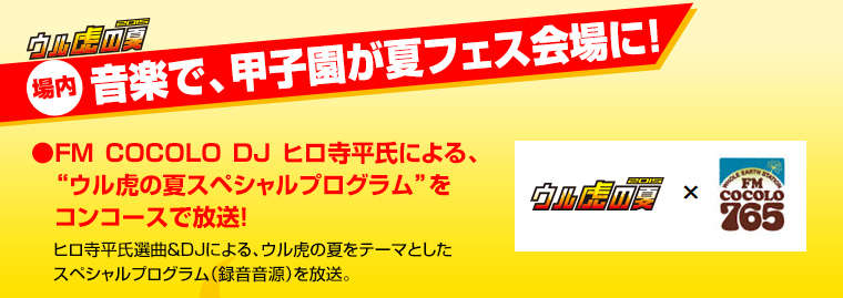 音楽で、甲子園が夏フェス会場に！