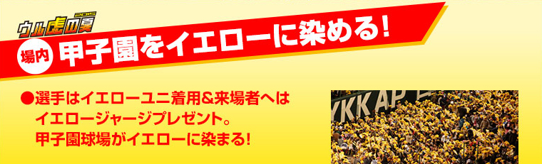 甲子園をイエローに染める！