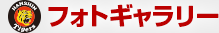 フォトギャラリー