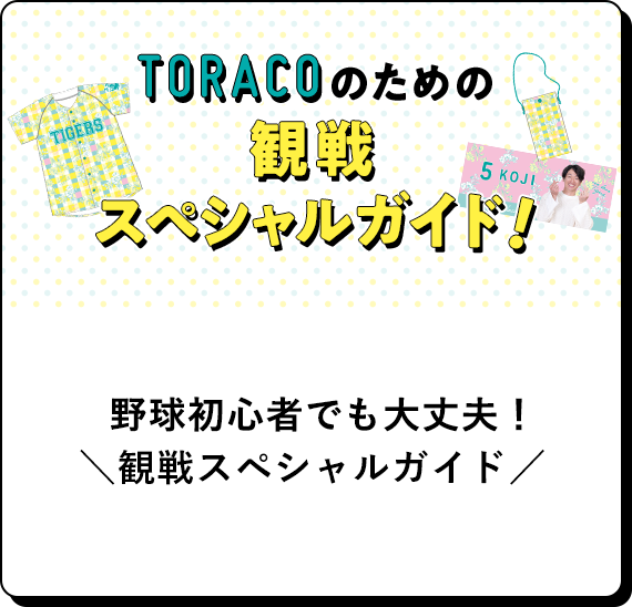 野球初心者でも大丈夫。観戦スペシャルガイド